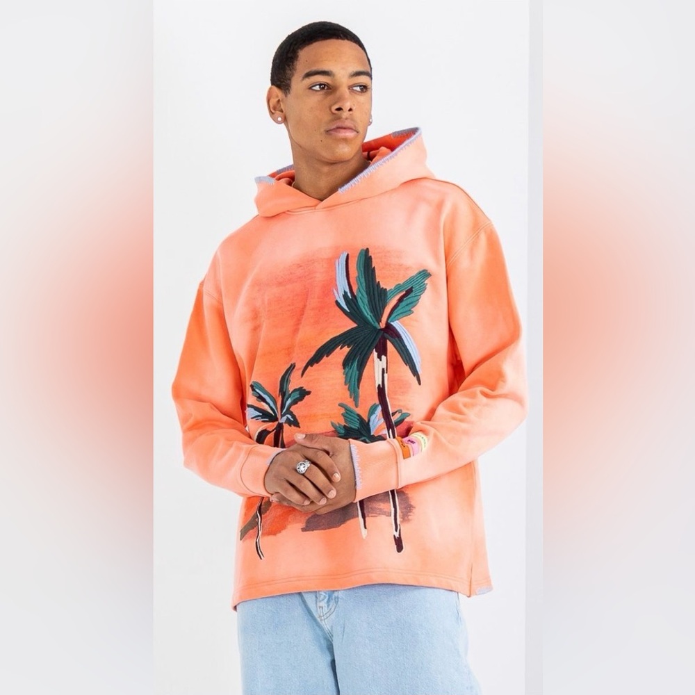 SCOTCH & SODA RELAXED PRINT AND EMBROIDERY WASHED FELPA HOODIE